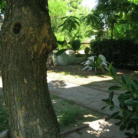 Olivi 10 * Lido delle Nazioni