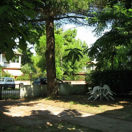 Olivi 10 *